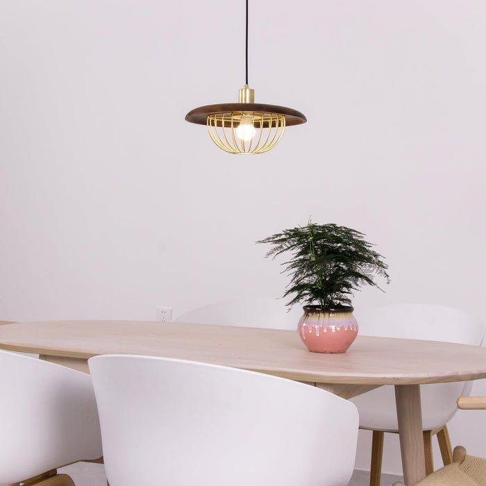 Kasa Pendant Lamp-DWHOME