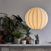 Kenroy Pendant Lamp.