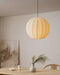 Kenroy Pendant Lamp.