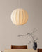 Kenroy Pendant Lamp.