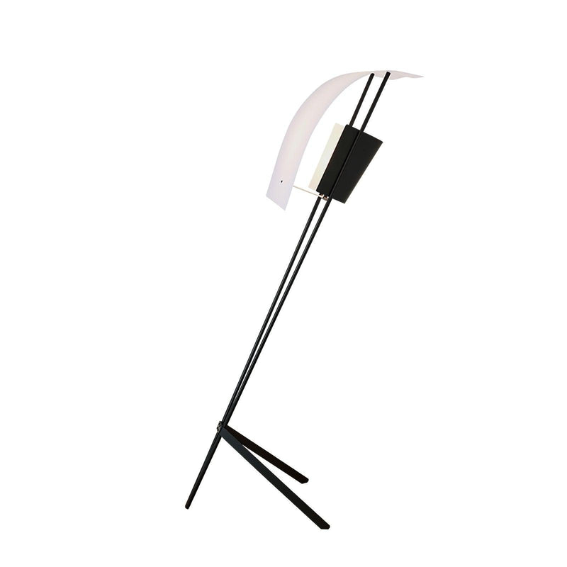 Kite Floor Lamp-DWHOME