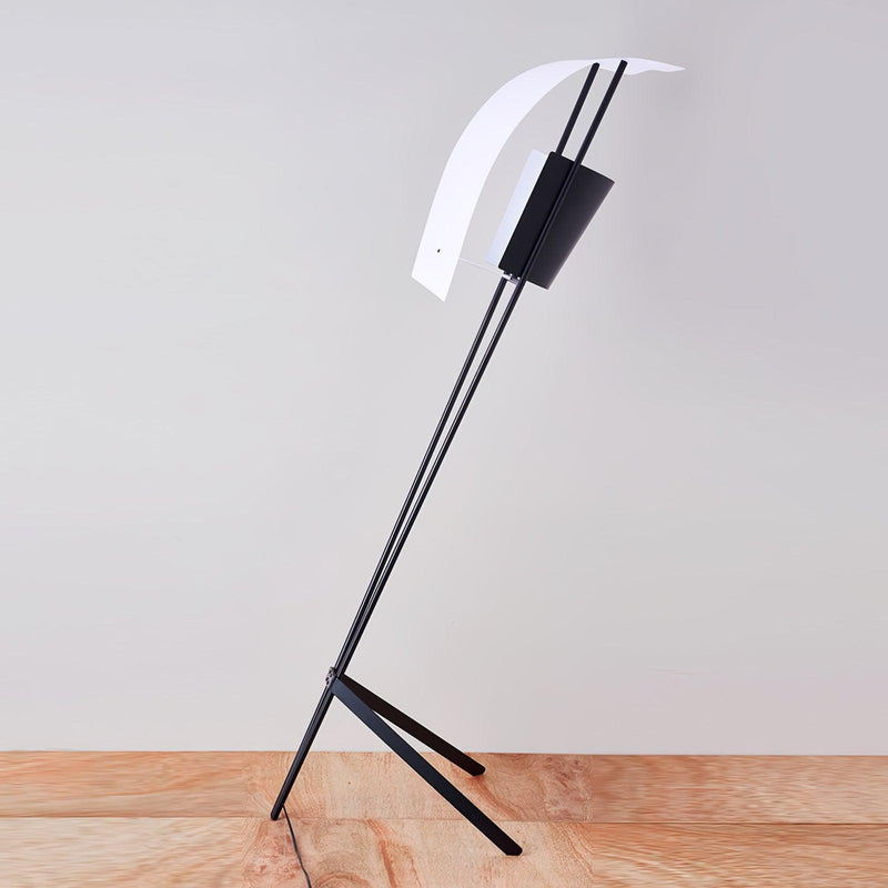 Kite Floor Lamp-DWHOME