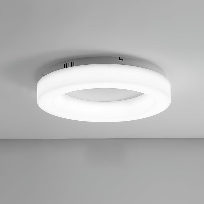 Knock Out Ceiling Light.