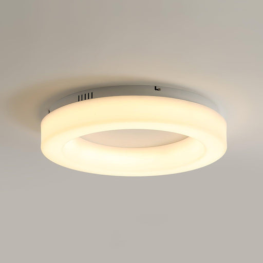 Knock Out Ceiling Light.