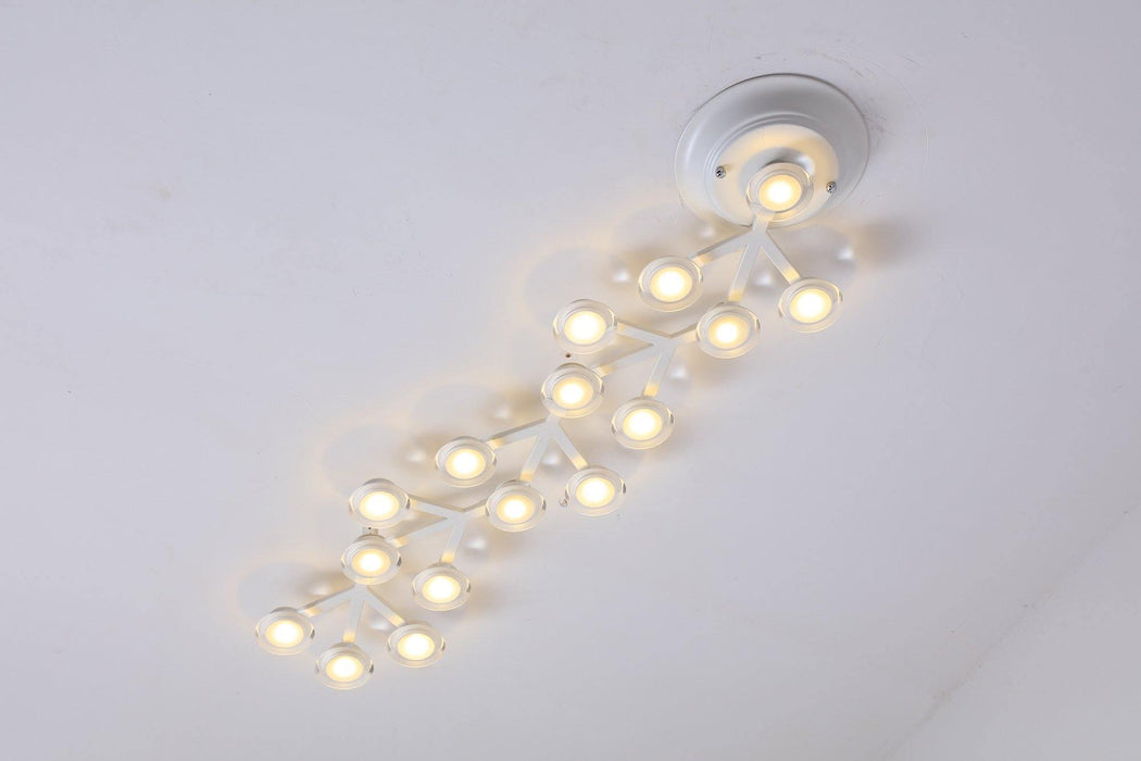 LED Net Ceiling Lamp.