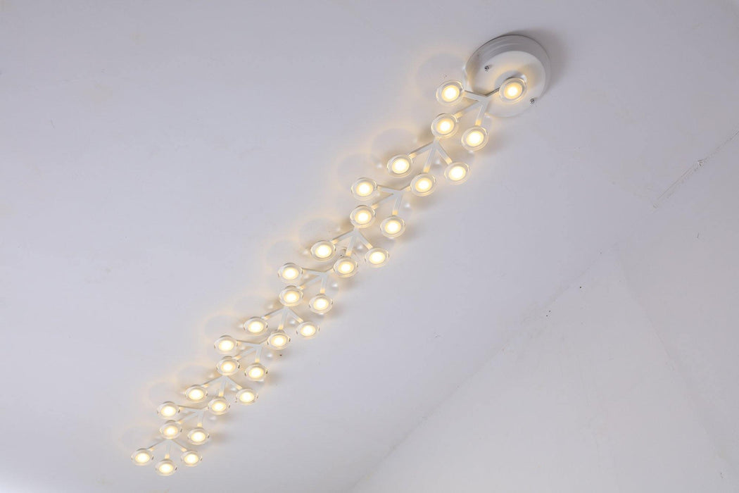 LED Net Ceiling Lamp - DWHOME