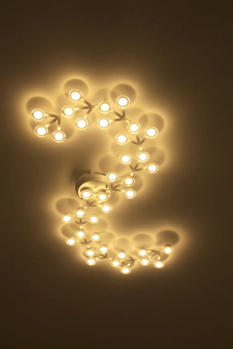 LED Net Ceiling Wall Lamp - Vakkerlight