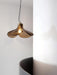 LS185 Pendant Lamp.