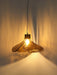 LS185 Pendant Lamp-DWHOME