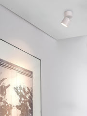 Lara2 Spotlights-DWHOME