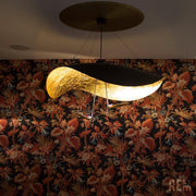 Giorgio Pendant Light-DWHOME