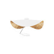 Giorgio Ceiling Light-DWHOME