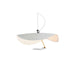 Giorgio Pendant Light - DWHOME