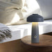 Leon Mushroom Built-in Battery Table Lamp-DWHOME