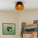 Levels Ceiling Light-DWHOME