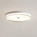 Lindby Ceiling Light.