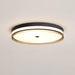 Lindby Ceiling Light.