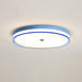 Lindby Ceiling Light.