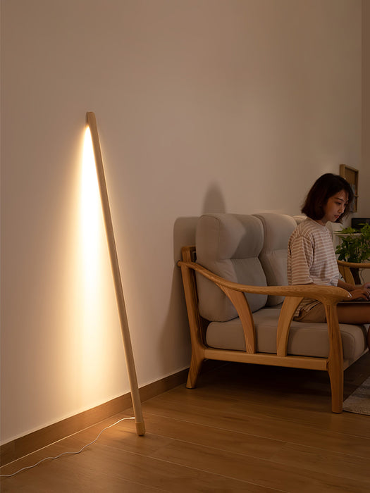 Line Assist Ambience Floor Lamp.