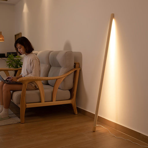 Line Assist Ambience Floor Lamp-DWHOME