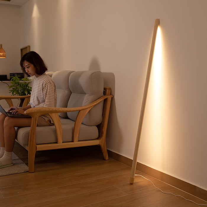 Line Assist Ambience Floor Lamp.