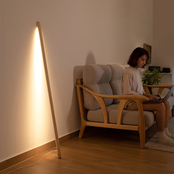 Line Assist Ambience Floor Lamp.