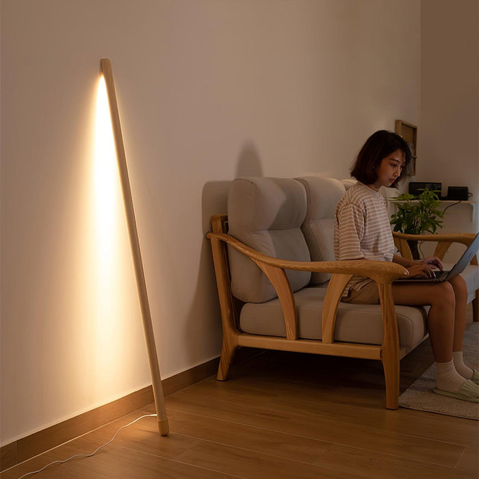 Line Assist Ambience Floor Lamp-DWHOME