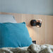 Adjustable Glass Wall Lamp-DWHOME