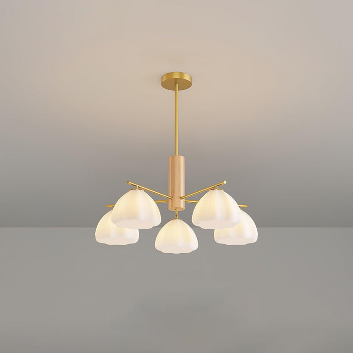 Little Clouds Chandelier - DWHOME