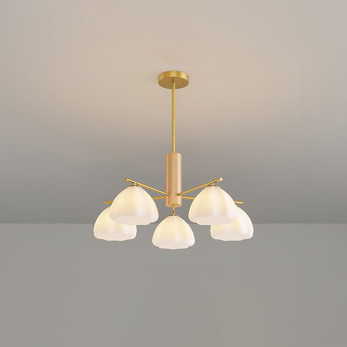 Little Clouds Chandelier - DWHOME