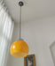 Loa Pendant Light.