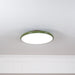 Lola Adjustable Ceiling Lamp-DWHOME