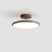 Lola Adjustable Ceiling Lamp.