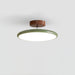 Lola Adjustable Ceiling Lamp - DWHOME