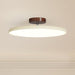 Lola Adjustable Ceiling Lamp.