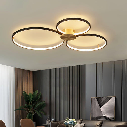 Loop LED Ceiling Light.