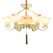 Lotus Bloom Chandelier.