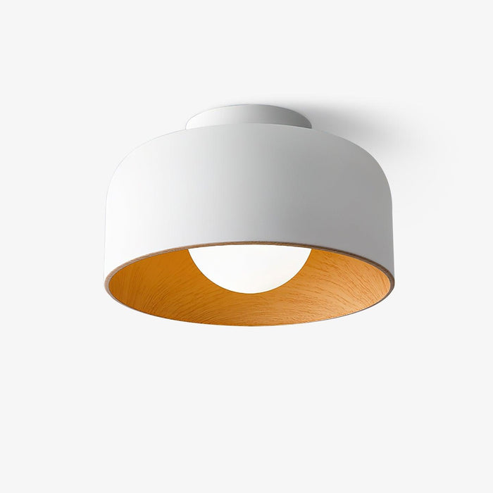 Lumosphere Ceiling Light - DWHOME