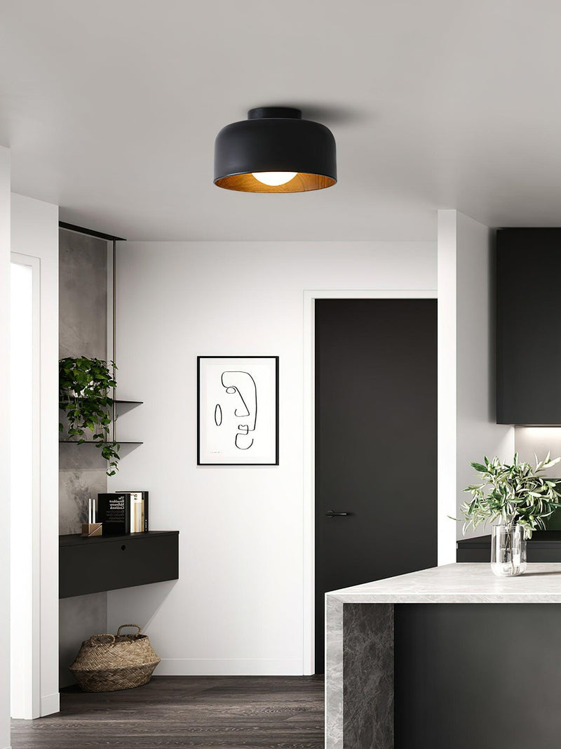 Lumosphere Ceiling Light-DWHOME