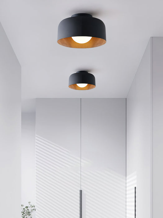 Lumosphere Ceiling Light.