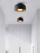 Lumosphere Ceiling Light.