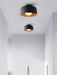 Lumosphere Ceiling Light - DWHOME