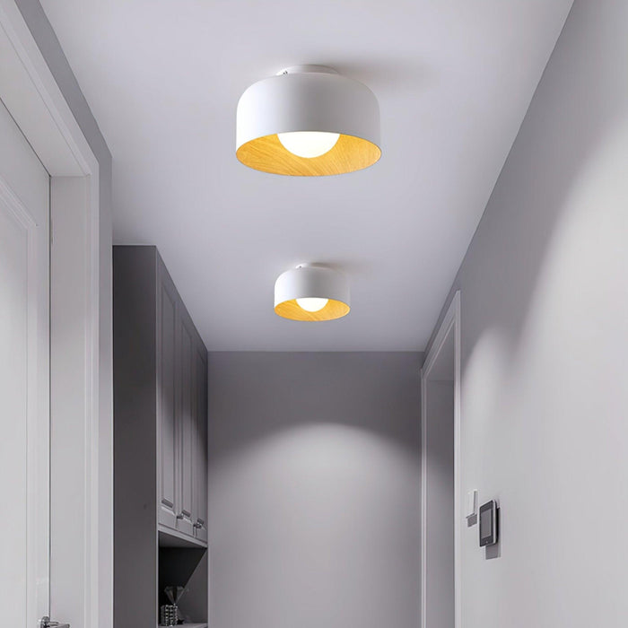 Lumosphere Ceiling Light - DWHOME