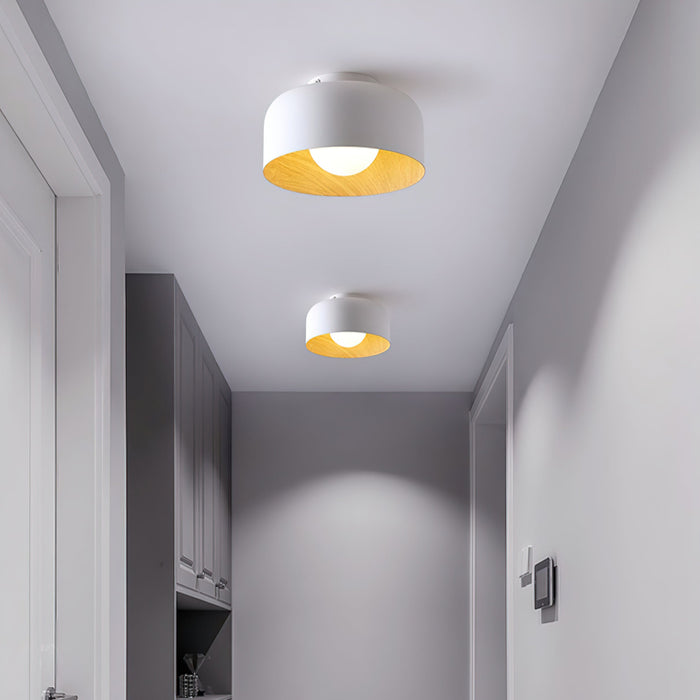 Lumosphere Ceiling Light.