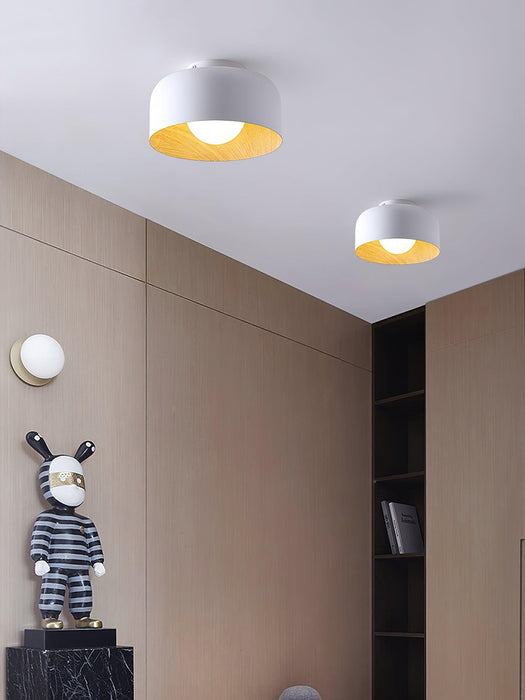 Lumosphere Ceiling Light - DWHOME