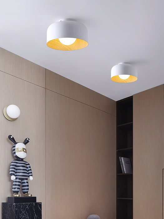 Lumosphere Ceiling Light.