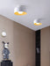 Lumosphere Ceiling Light.