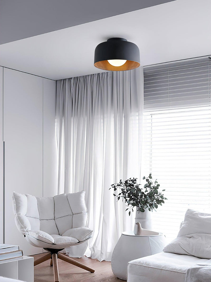 Lumosphere Ceiling Light-DWHOME