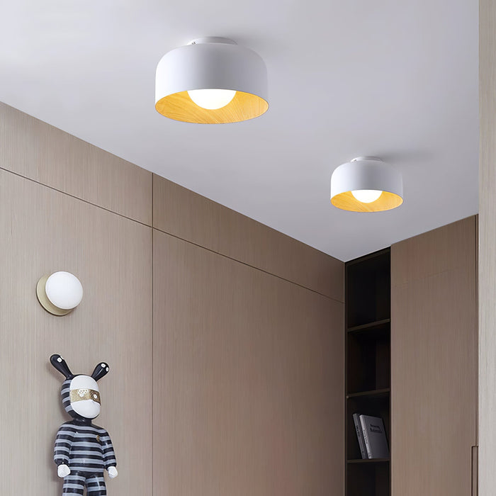 Lumosphere Ceiling Light