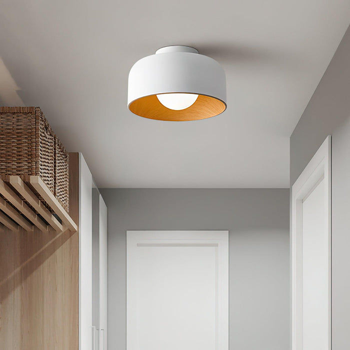 Lumosphere Ceiling Light - DWHOME